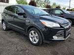 2016 Ford Escape Se Black vin: 1FMCU9GX7GUB74770