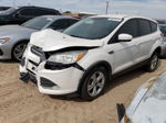 2016 Ford Escape Se White vin: 1FMCU9GX7GUC79423