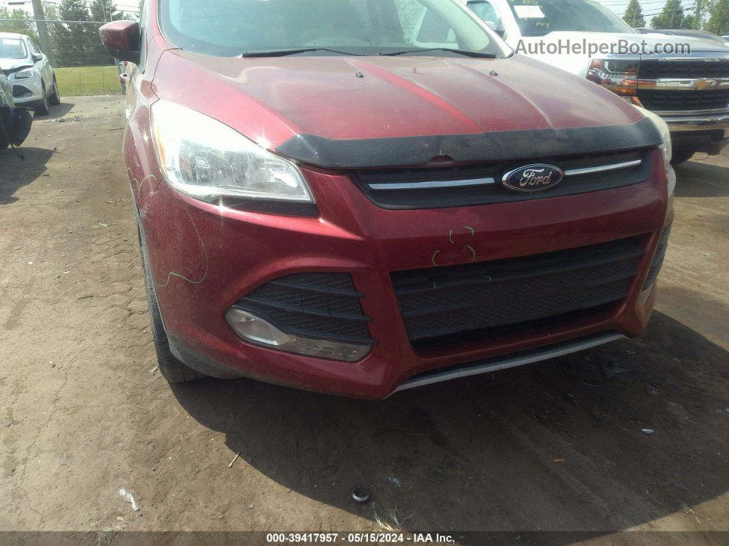 2013 Ford Escape Se Maroon vin: 1FMCU9GX8DUD16989