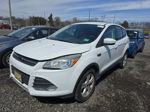 2013 Ford Escape Se vin: 1FMCU9GX8DUD41889