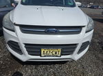 2013 Ford Escape Se vin: 1FMCU9GX8DUD41889