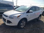 2014 Ford Escape Se White vin: 1FMCU9GX8EUA65621