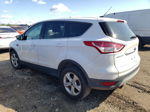 2014 Ford Escape Se Белый vin: 1FMCU9GX8EUA65621