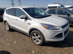 2014 Ford Escape Se Белый vin: 1FMCU9GX8EUA65621