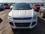 2014 Ford Escape Se Белый vin: 1FMCU9GX8EUA65621