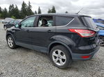 2014 Ford Escape Se Black vin: 1FMCU9GX8EUB49051