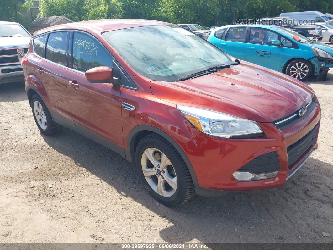 2014 Ford Escape Se Red vin: 1FMCU9GX8EUD65854