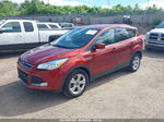 2014 Ford Escape Se Красный vin: 1FMCU9GX8EUD65854