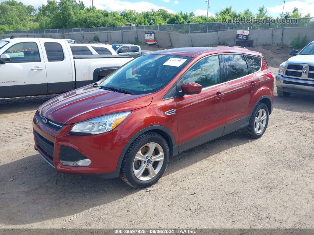 2014 Ford Escape Se Red vin: 1FMCU9GX8EUD65854