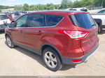 2014 Ford Escape Se Красный vin: 1FMCU9GX8EUD65854