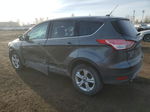 2015 Ford Escape Se Gray vin: 1FMCU9GX8FUB51321