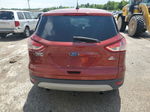 2016 Ford Escape Se Красный vin: 1FMCU9GX8GUA94832