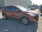 2016 Ford Escape Se Красный vin: 1FMCU9GX8GUA94832