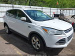 2016 Ford Escape Se White vin: 1FMCU9GX8GUB25528