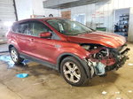 2016 Ford Escape Se Red vin: 1FMCU9GX8GUB44791