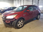 2016 Ford Escape Se Red vin: 1FMCU9GX8GUB44791