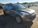 2013 Ford Escape Se Gray vin: 1FMCU9GX9DUC29926