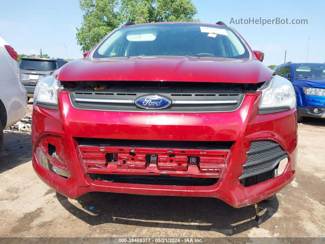 2013 Ford Escape Se Красный vin: 1FMCU9GX9DUC54745