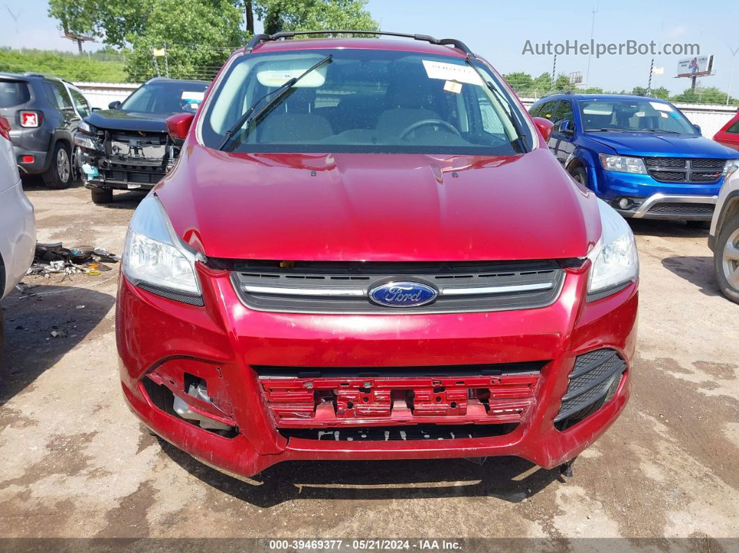 2013 Ford Escape Se Красный vin: 1FMCU9GX9DUC54745