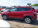 2013 Ford Escape Se Red vin: 1FMCU9GX9DUC54745