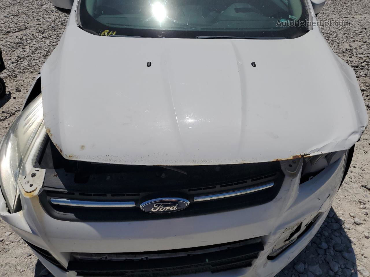 2013 Ford Escape Se White vin: 1FMCU9GX9DUC61050