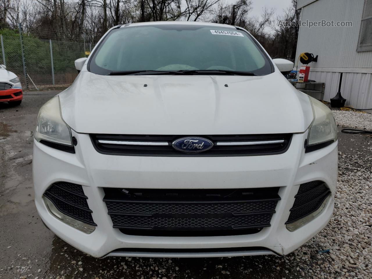 2014 Ford Escape Se Белый vin: 1FMCU9GX9EUC01089