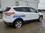 2014 Ford Escape Se Белый vin: 1FMCU9GX9EUC01089