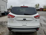 2014 Ford Escape Se White vin: 1FMCU9GX9EUC01089