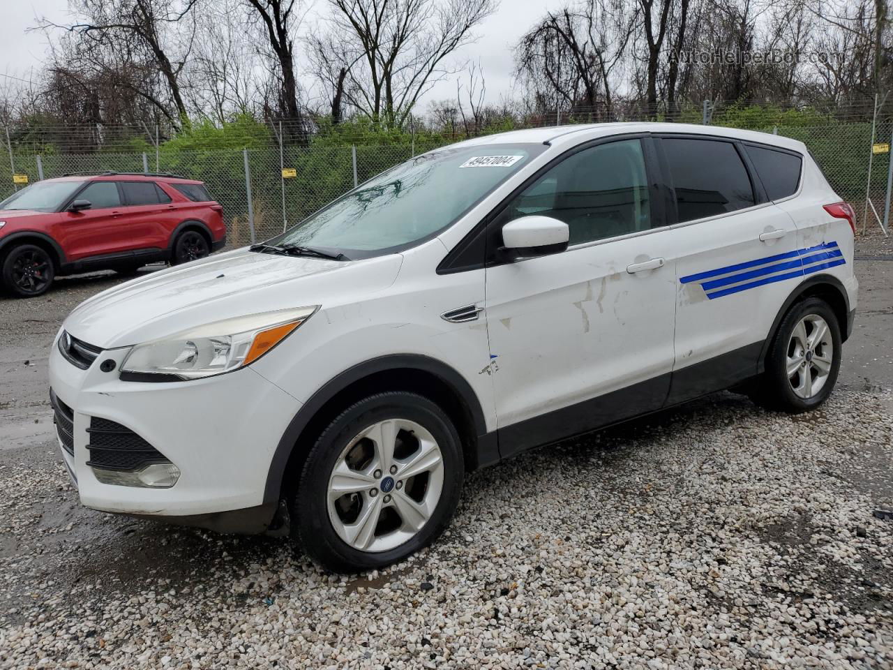 2014 Ford Escape Se White vin: 1FMCU9GX9EUC01089