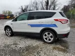 2014 Ford Escape Se Белый vin: 1FMCU9GX9EUC01089