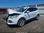 2014 Ford Escape Se White vin: 1FMCU9GX9EUD59013