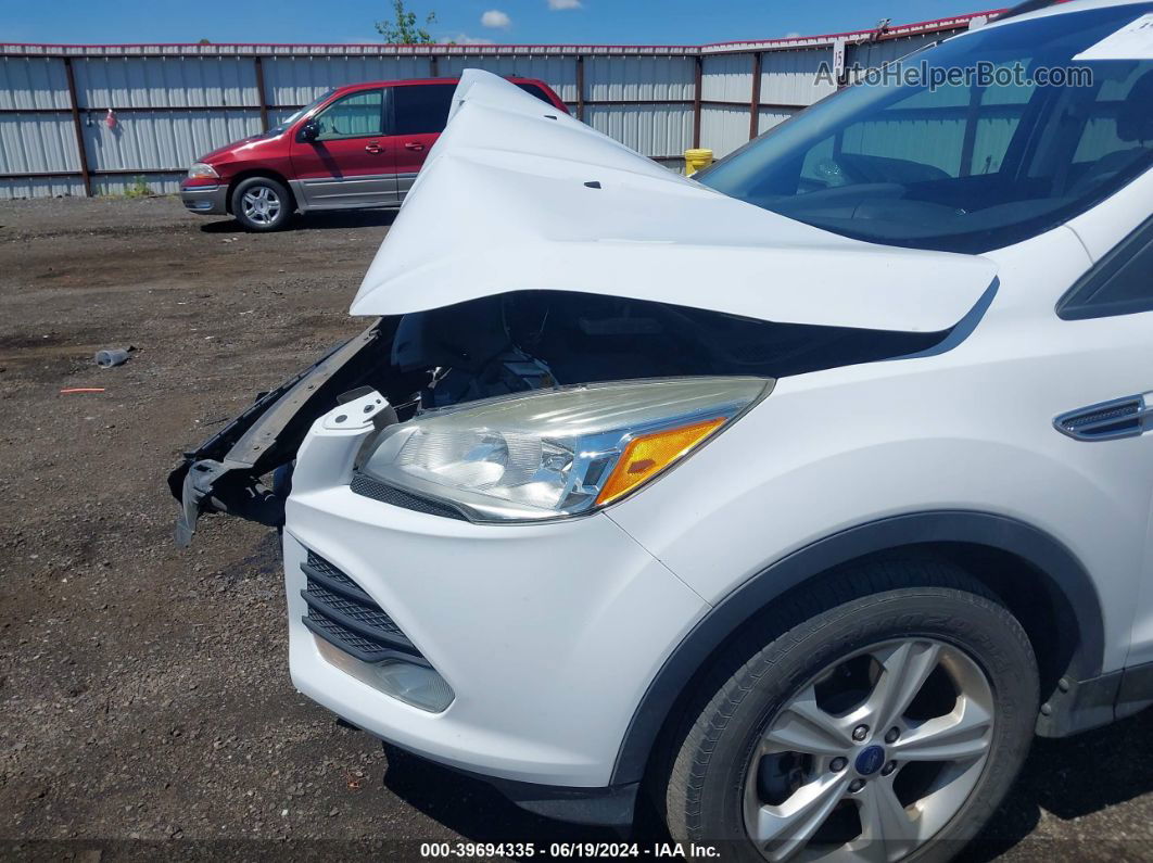 2014 Ford Escape Se White vin: 1FMCU9GX9EUD59013