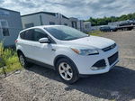 2015 Ford Escape Se Unknown vin: 1FMCU9GX9FUB13659