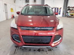 2015 Ford Escape Se Оранжевый vin: 1FMCU9GX9FUB65695