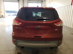 2015 Ford Escape Se Orange vin: 1FMCU9GX9FUB65695