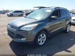 2016 Ford Escape Se Gray vin: 1FMCU9GX9GUB02730