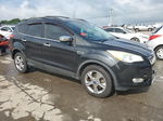 2013 Ford Escape Se Черный vin: 1FMCU9GXXDUB80610