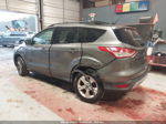 2013 Ford Escape Se Gray vin: 1FMCU9GXXDUB89064