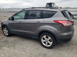 2013 Ford Escape Se Gray vin: 1FMCU9GXXDUB89632