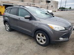 2013 Ford Escape Se Gray vin: 1FMCU9GXXDUB89632