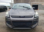 2013 Ford Escape Se Gray vin: 1FMCU9GXXDUB89632