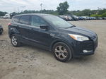 2014 Ford Escape Se Black vin: 1FMCU9GXXEUB21641