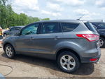 2014 Ford Escape Se Серый vin: 1FMCU9GXXEUD15568