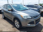 2014 Ford Escape Se Серый vin: 1FMCU9GXXEUD15568