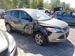 2014 Ford Escape Se Gray vin: 1FMCU9GXXEUD18115