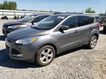 2014 Ford Escape Se Gray vin: 1FMCU9GXXEUD18115