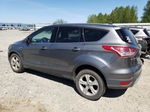 2014 Ford Escape Se Gray vin: 1FMCU9GXXEUD18115