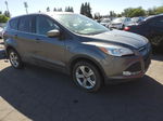 2014 Ford Escape Se Charcoal vin: 1FMCU9GXXEUD44570