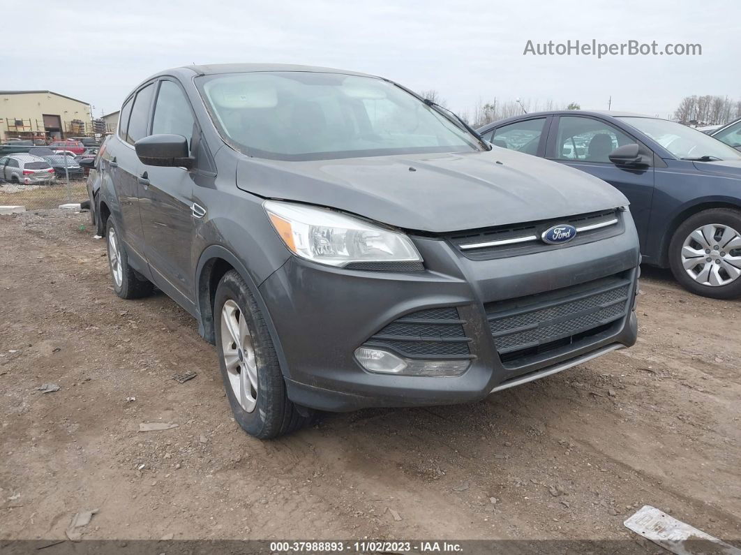 2015 Ford Escape Se Gray vin: 1FMCU9GXXFUA24070