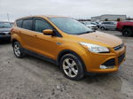 2016 Ford Escape Se Orange vin: 1FMCU9GXXGUA25429